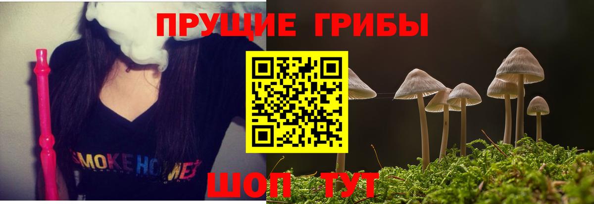 Галлюциногенные грибы прущие грибы  Вход с VPN  Псилоцибиновые грибы Psilocybe  Топки 