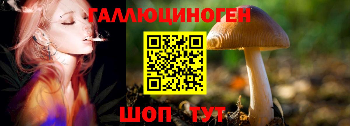 Псилоцибиновые грибы Cubensis Топки